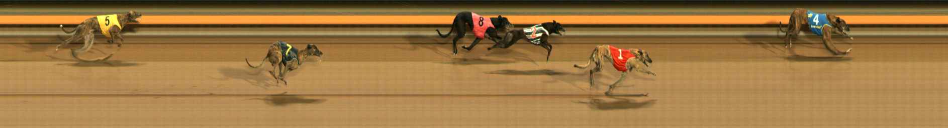 Photo finish for Ballarat Race 11