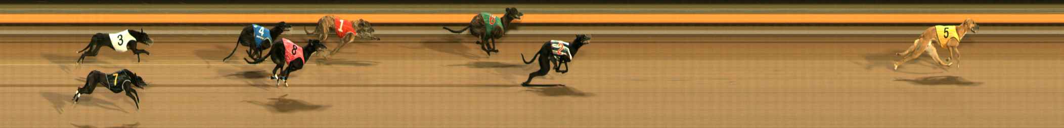 Photo finish for Ballarat Race 14