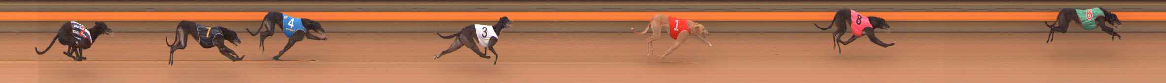 Photo finish for Ballarat Race 7