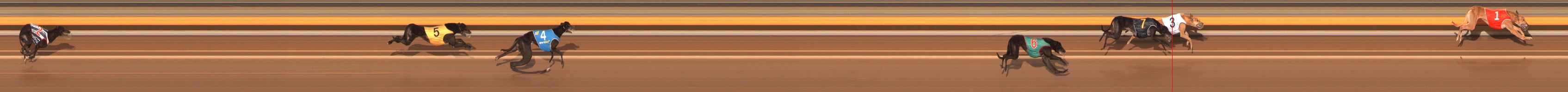 Photo finish for Ballarat Race 8