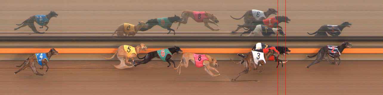 Photo finish for Ballarat Race 12