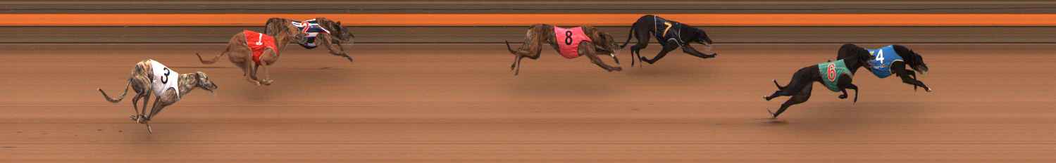 Race result finish photo