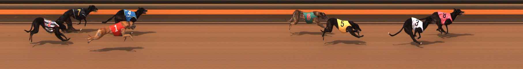 Photo finish for Ballarat Race 2
