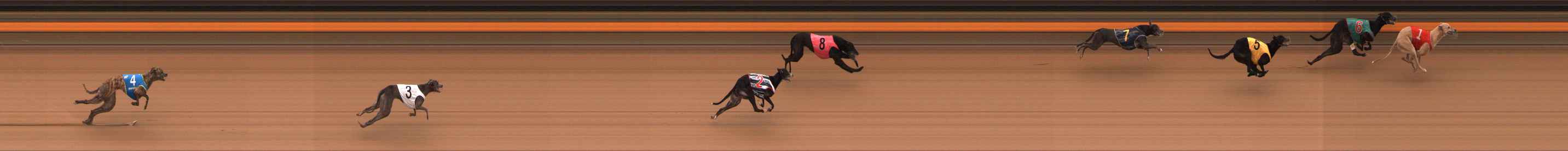 Photo finish for Ballarat Race 3