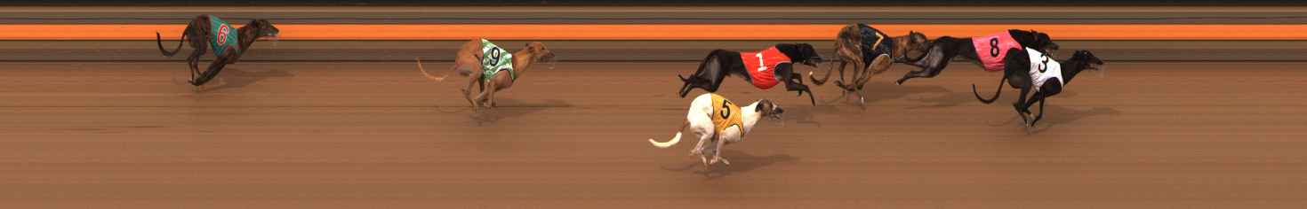 Photo finish for Ballarat Race 6