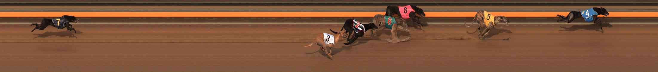 Photo finish for Ballarat Race 8