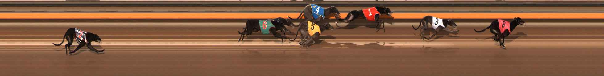 Photo finish for Ballarat Race 9