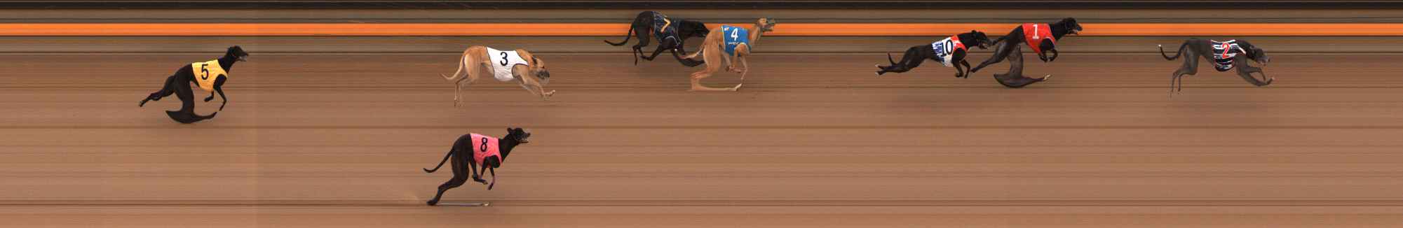 Photo finish for Ballarat Race 12