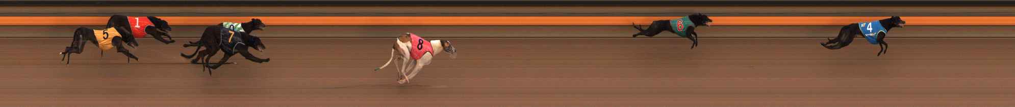 Photo finish for Ballarat Race 14