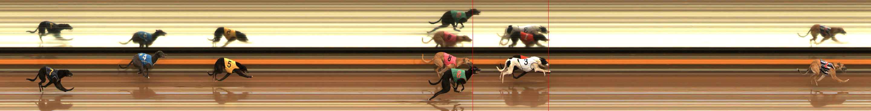 Photo finish for Ballarat Race 1