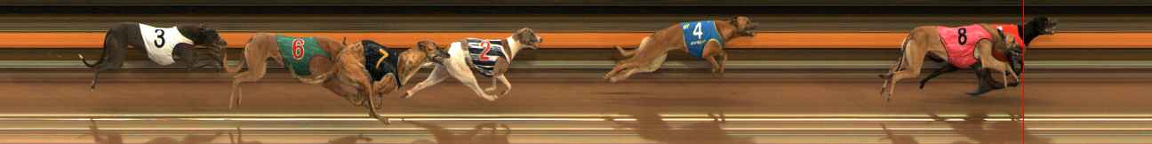 Photo finish for Ballarat Race 2