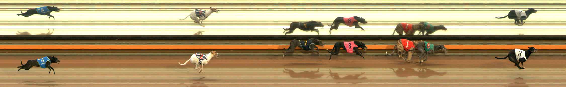 Photo finish for Ballarat Race 3