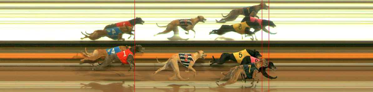 Photo finish for Ballarat Race 4
