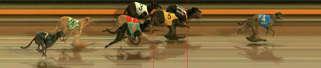 Photo finish for Ballarat Race 5