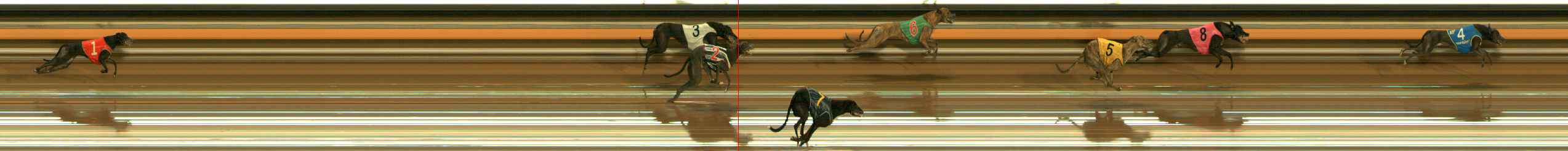 Photo finish for Ballarat Race 6