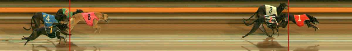 Photo finish for Ballarat Race 8