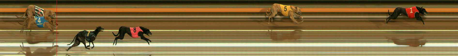 Photo finish for Ballarat Race 10