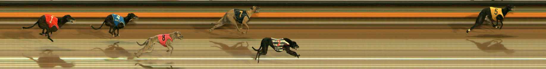 Photo finish for Ballarat Race 11