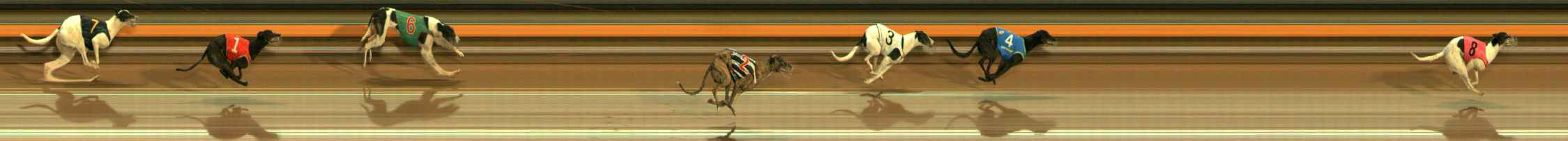Photo finish for Ballarat Race 13