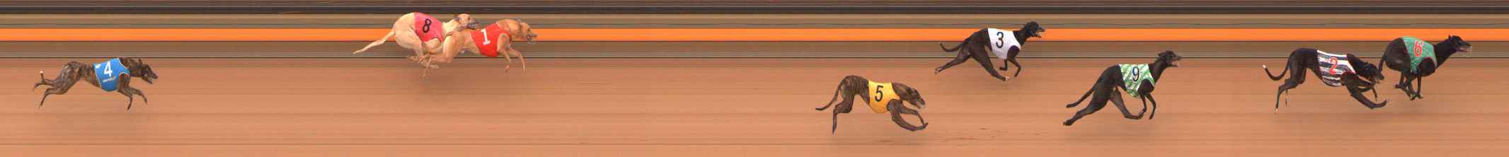 Photo finish for Ballarat Race 1