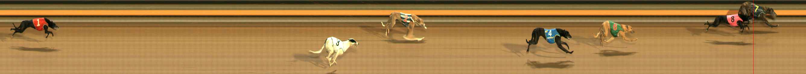 Photo finish for Ballarat Race 11