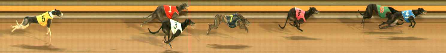 Photo finish for Ballarat Race 13