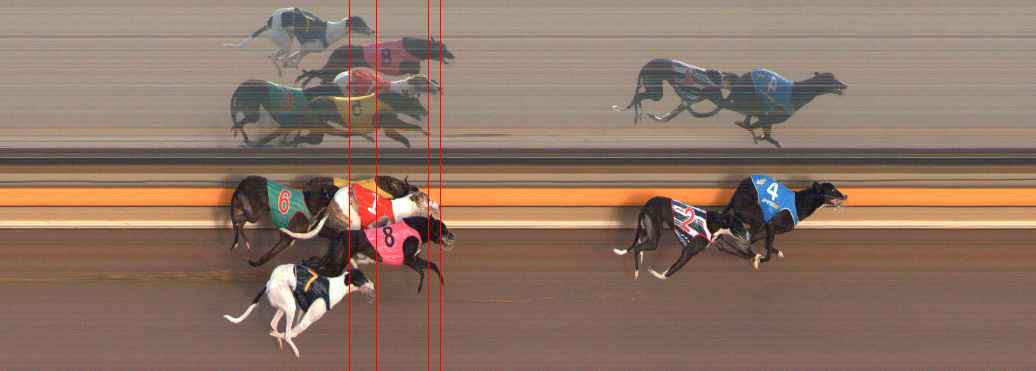 Photo finish for Ballarat Race 13