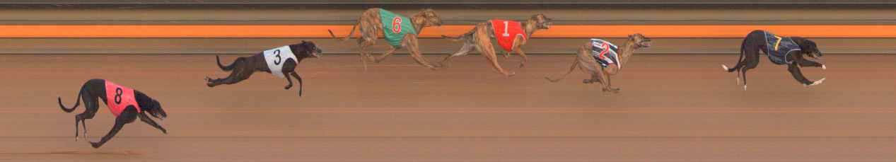 Photo finish for Ballarat Race 4