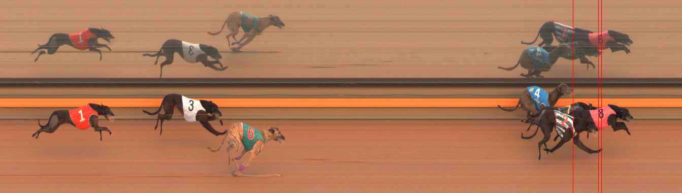 Photo finish for Ballarat Race 5