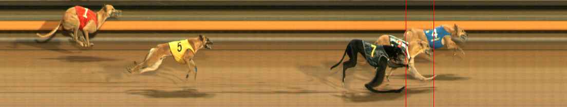 Photo finish for Ballarat Race 12