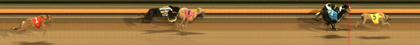Photo finish for Ballarat Race 13