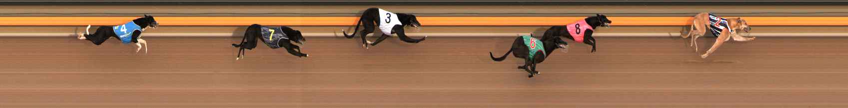 Photo finish for Ballarat Race 3