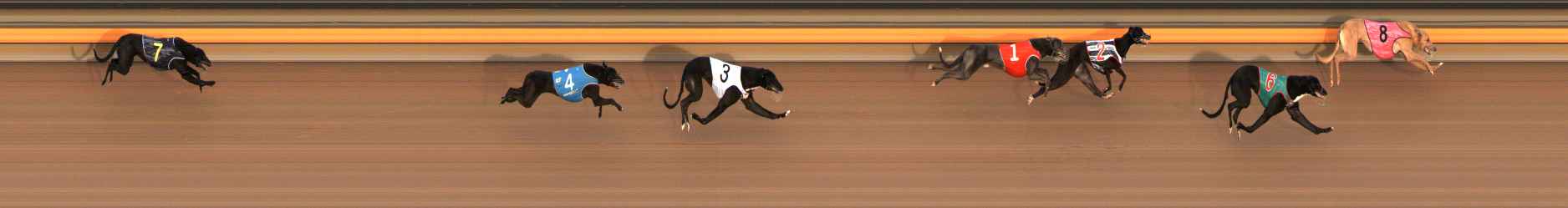 Photo finish for Ballarat Race 4