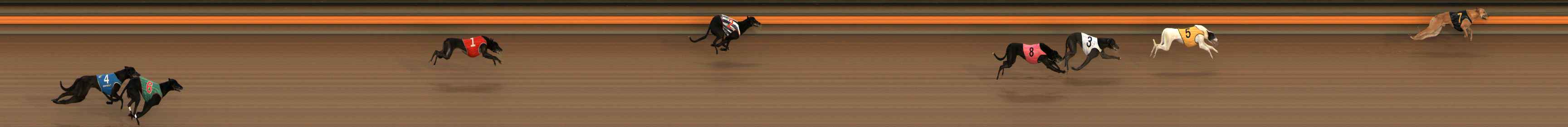 Photo finish for Ballarat Race 6