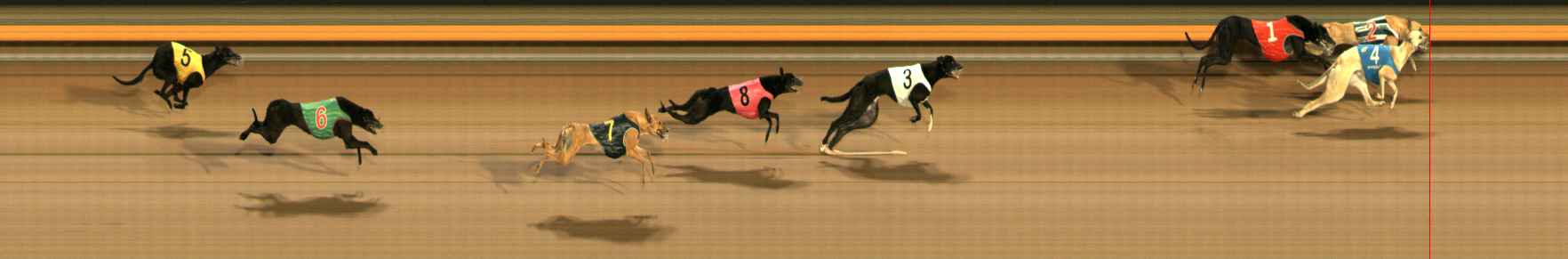 Photo finish for Ballarat Race 9