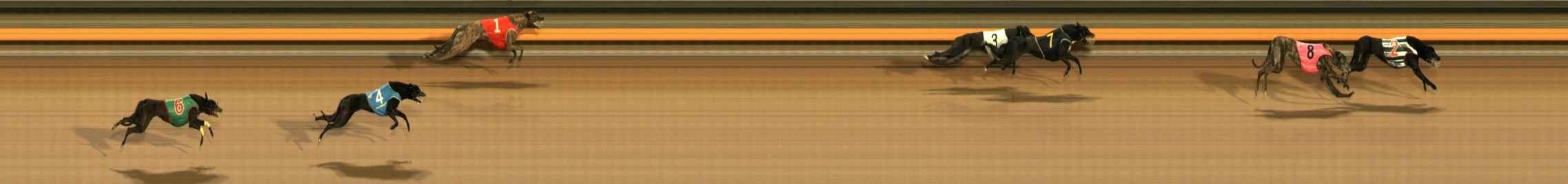 Photo finish for Ballarat Race 11