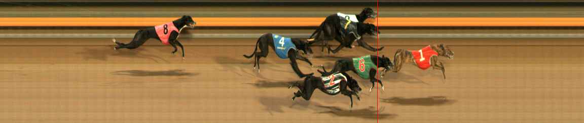 Photo finish for Ballarat Race 13