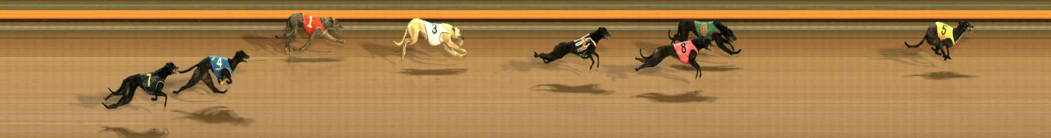 Photo finish for Ballarat Race 14