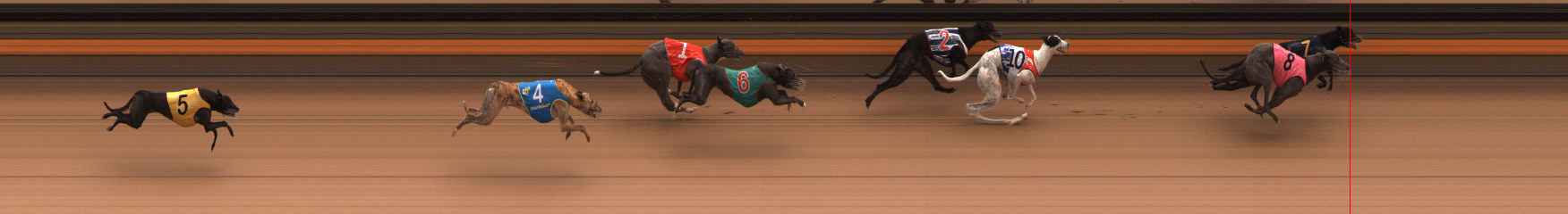 Photo finish for Ballarat Race 5