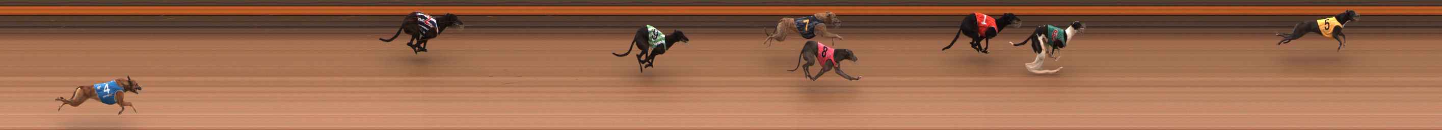 Photo finish for Ballarat Race 2