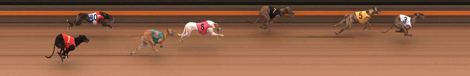 Photo finish for Ballarat Race 3