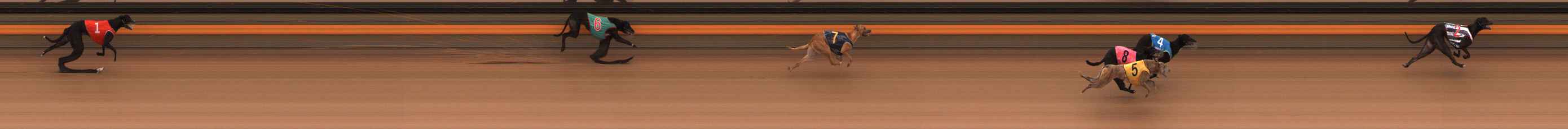Photo finish for Ballarat Race 4