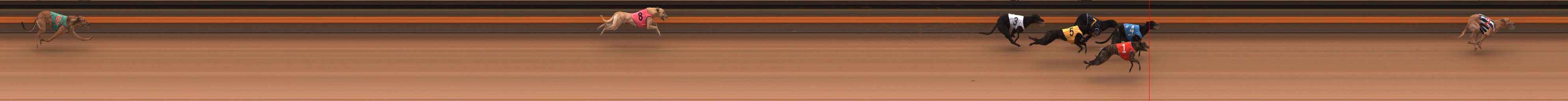 Photo finish for Ballarat Race 7