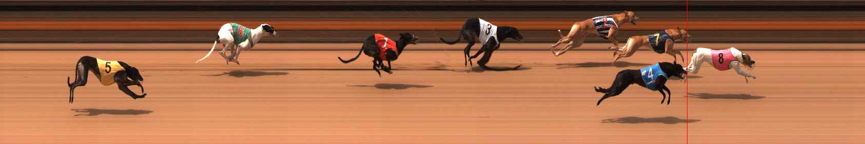 Photo finish for Ballarat Race 8