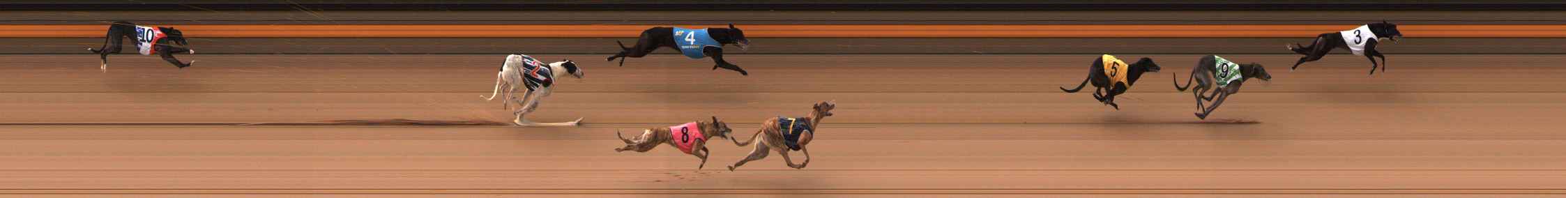 Photo finish for Ballarat Race 10