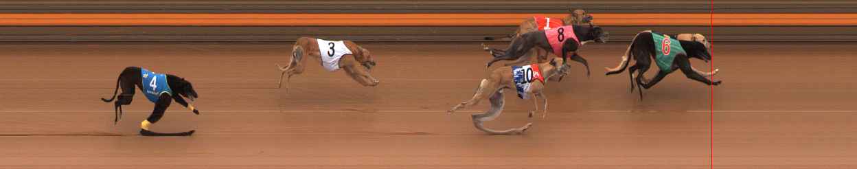 Photo finish for Ballarat Race 11