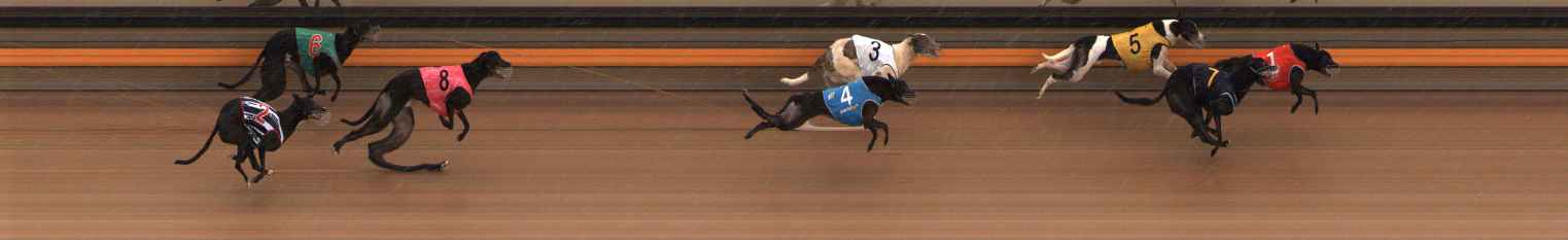 Photo finish for Ballarat Race 13