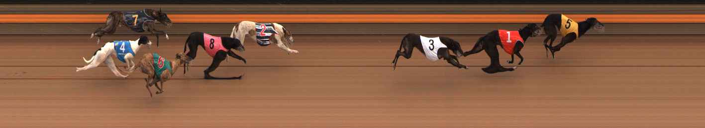 Photo finish for Ballarat Race 14