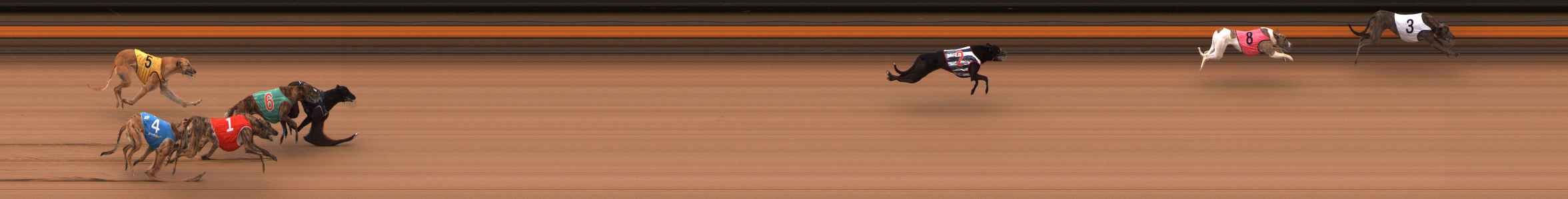 Photo finish for Ballarat Race 1