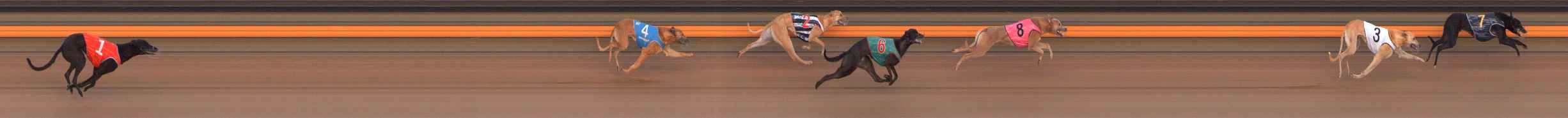 Photo finish for Ballarat Race 2